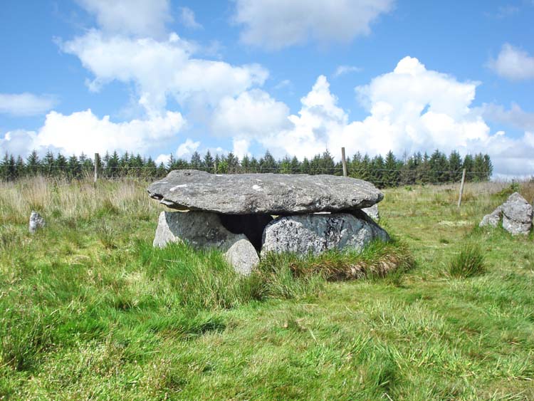 New cist, at SX 64480 77608