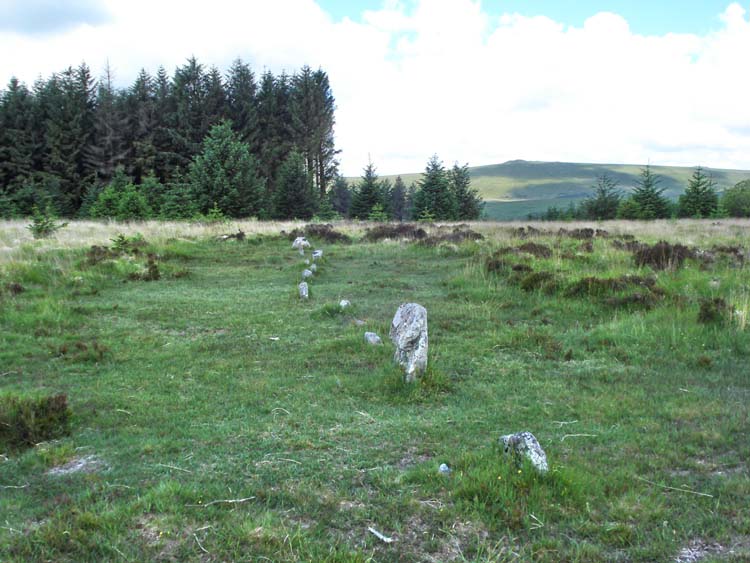 This is the row seen at SX 64390 77646