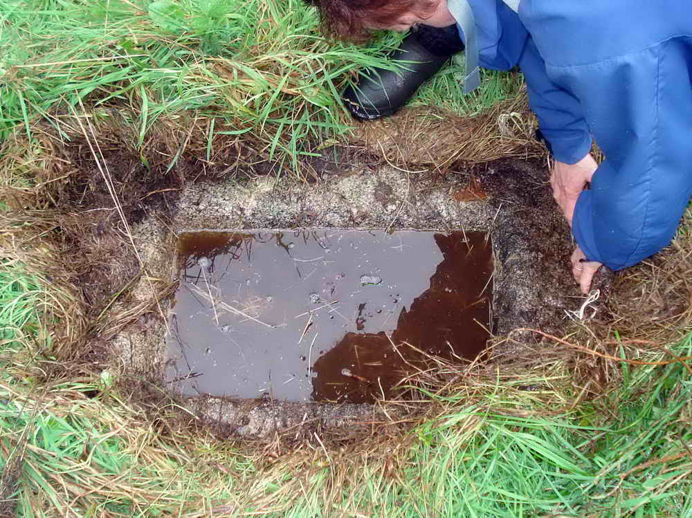 A fine piece of carving