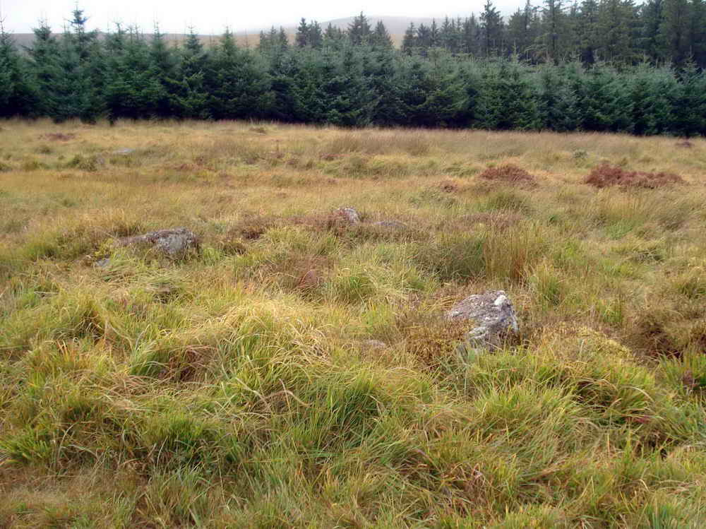 A roundhouse in the Kraps Ring Settlement