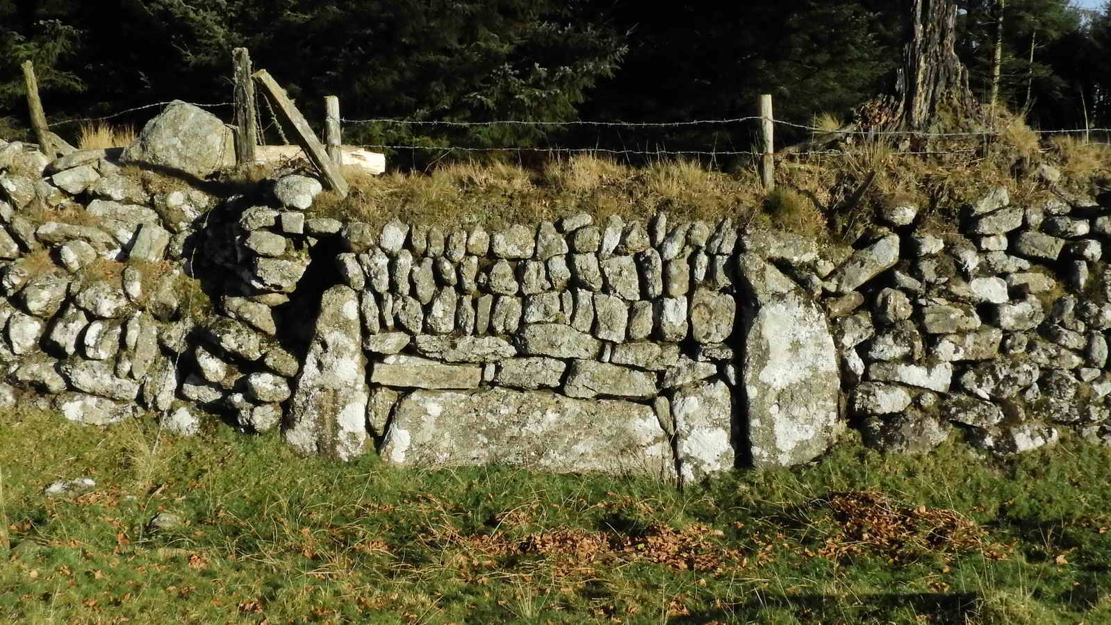 Keeping left, walking up the slope near the wall, a blocked up gateway at  SX 57184 68593