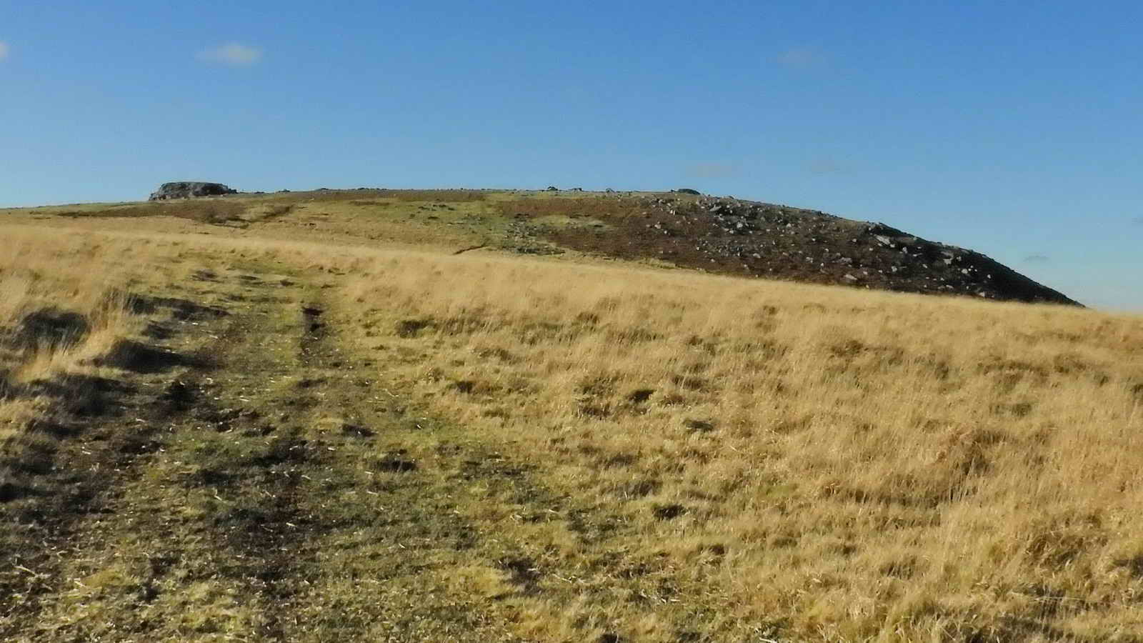 Looking up the long slope at Sheeps Tor. The sheep’s head is on the left, if you’ve the imagination!
