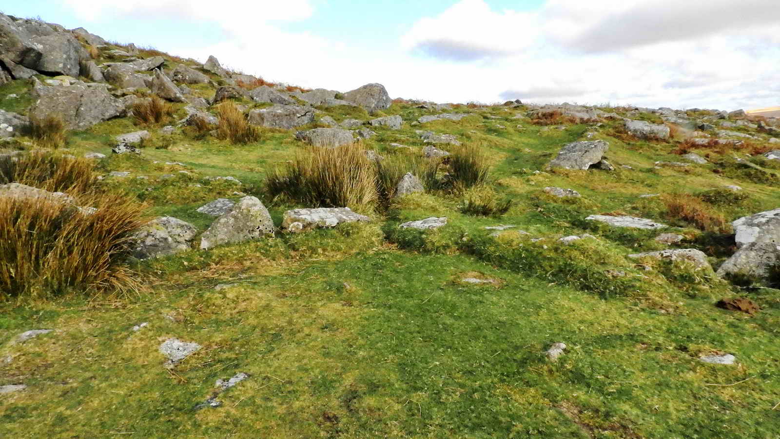 Vermin trap, looking north at the X-arrangement