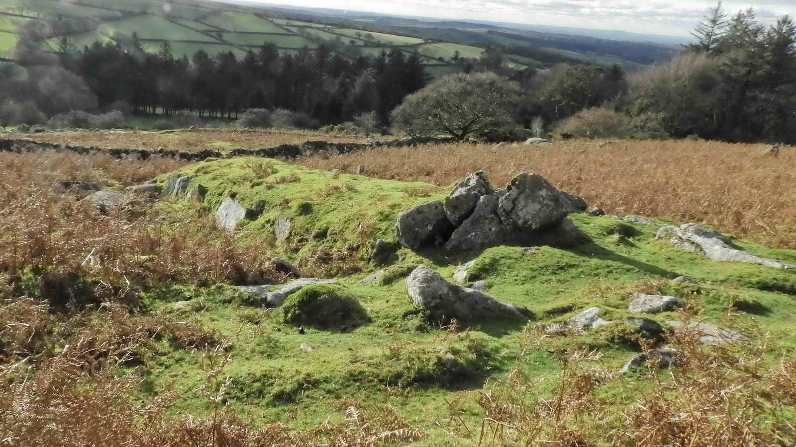 Rabbit bury, warren or “pillow mound” at SX 56535 67998