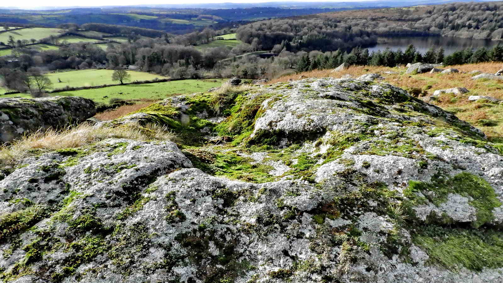 A natural rock basin on the top of the main rock of Maiden Tor