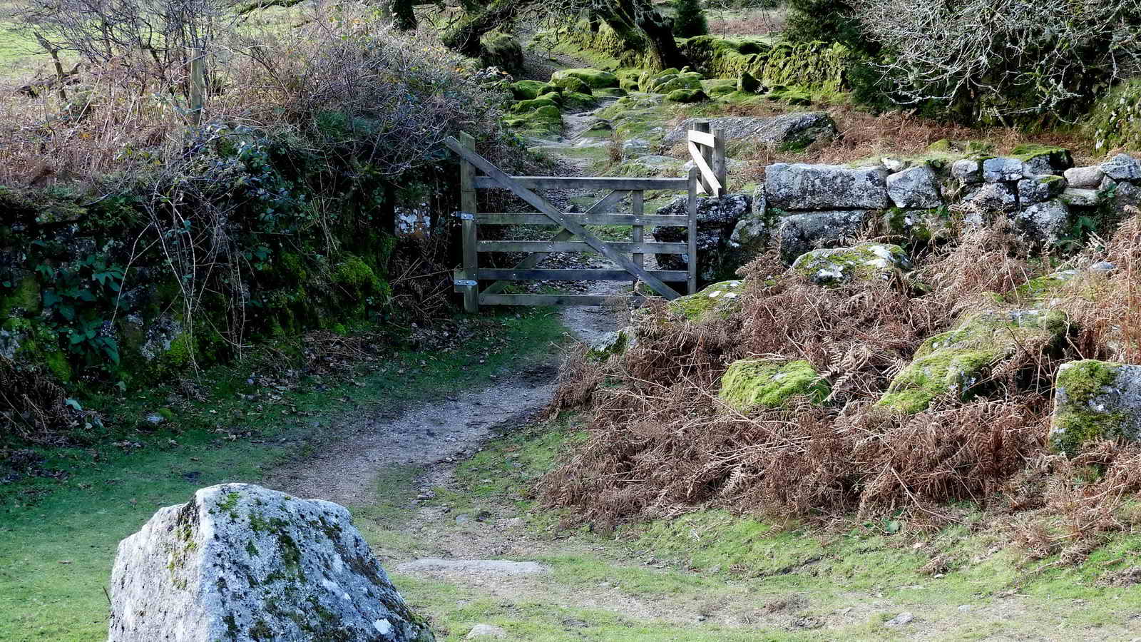 Joey’s Lane Gate, at the top of Joey’s Lane that leads down to the site of Park Cottage