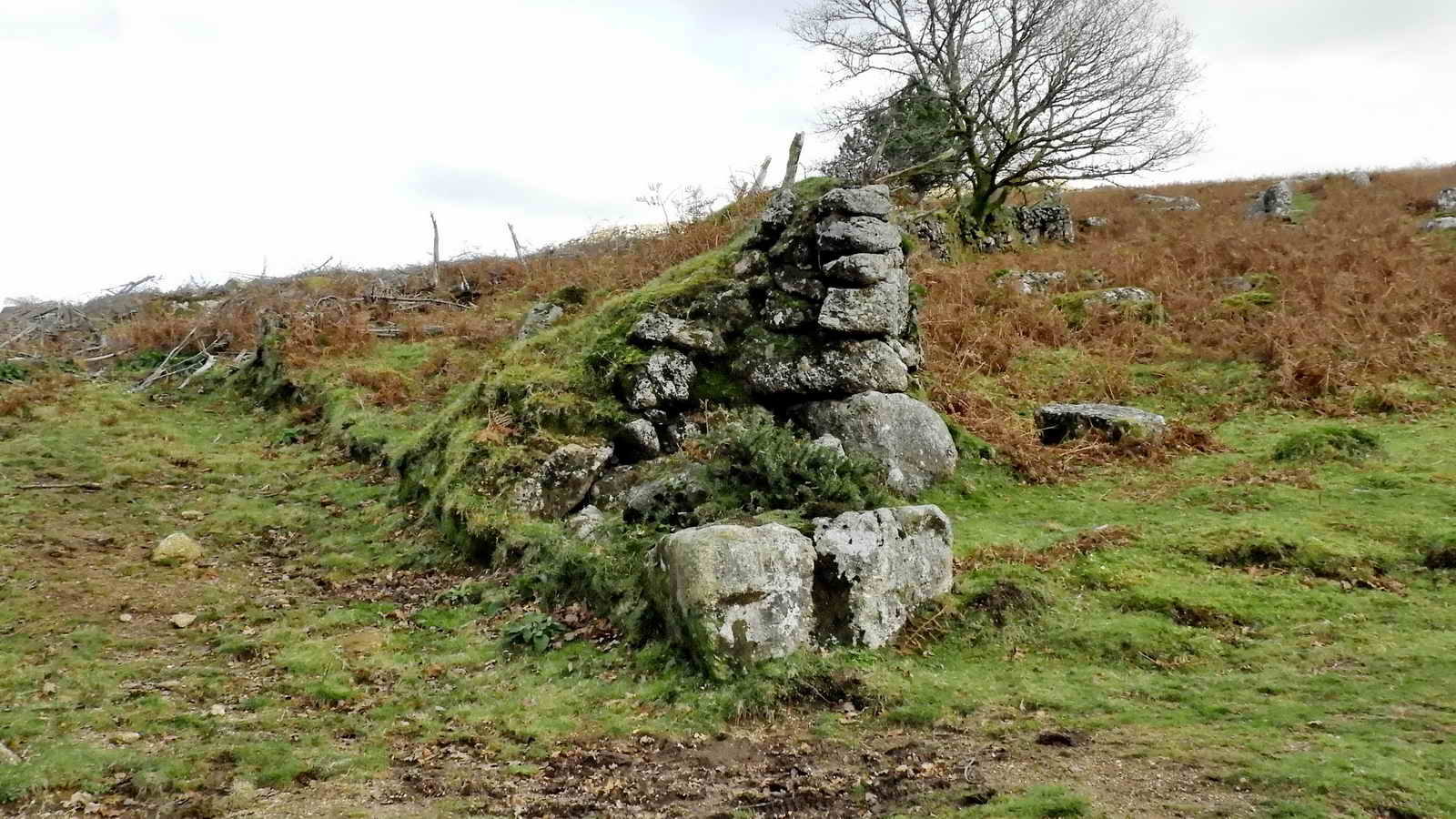 A good section through a corn ditch wall