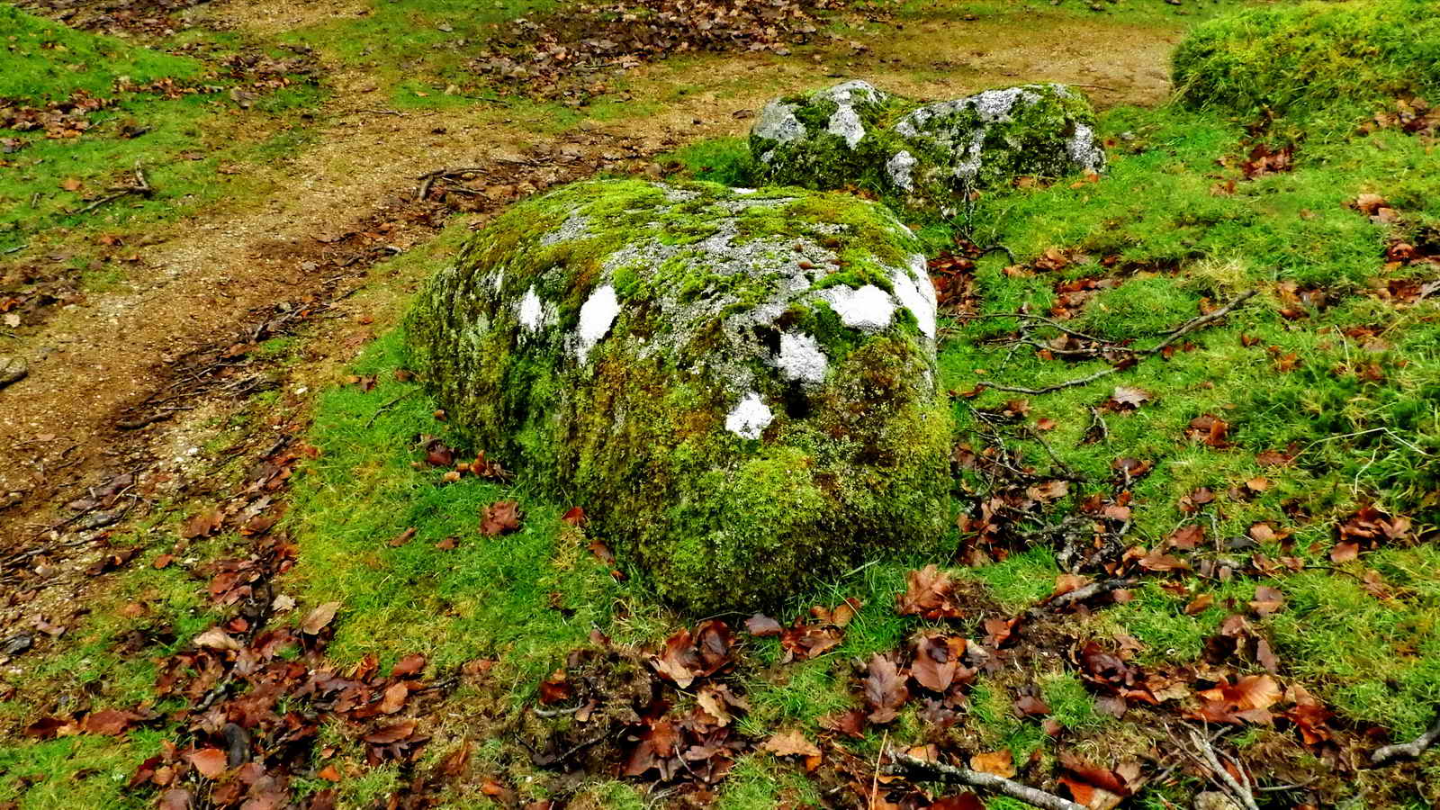 A picture of a drain hole at the far end