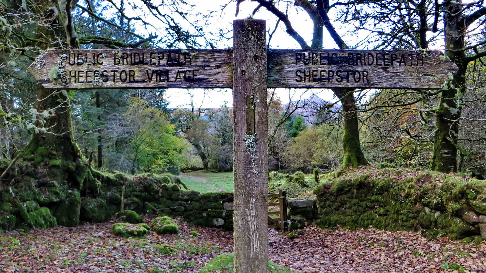 Looking from the broken trough down past Narrator Gate through the old farm site towards the road