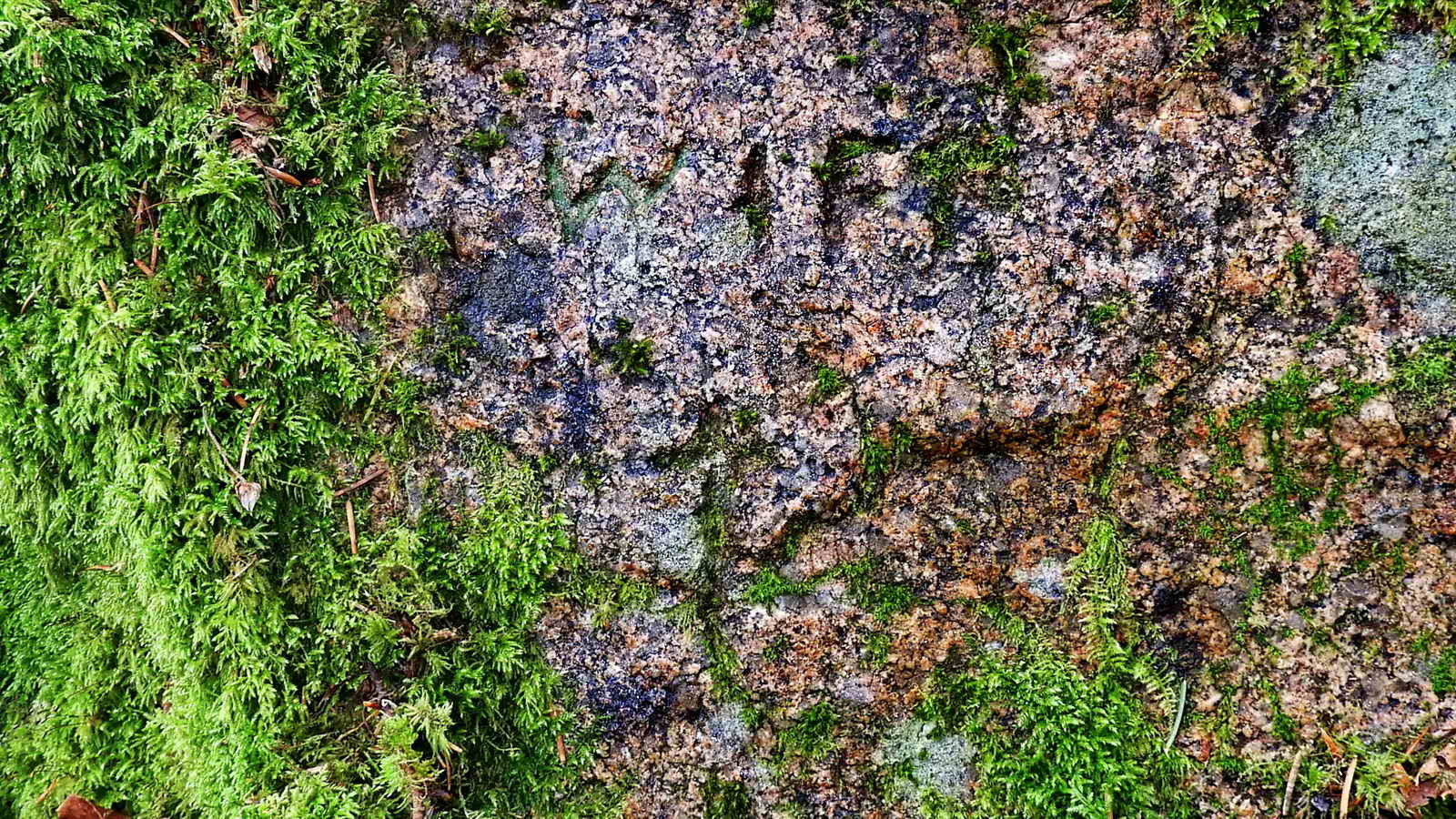 The letters “WIFF” are incised into the stone with a small cross below