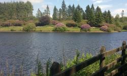 Featured image of post Clampitts Walk