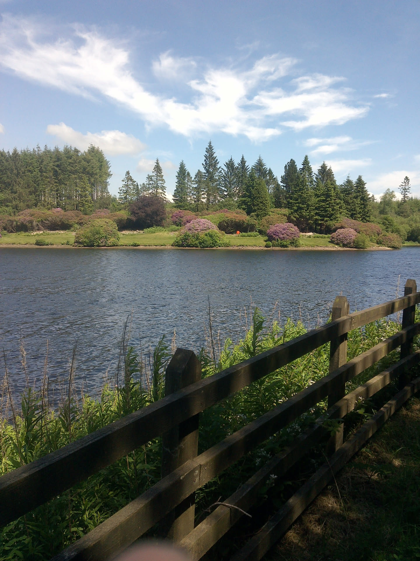 Looking across Kennick