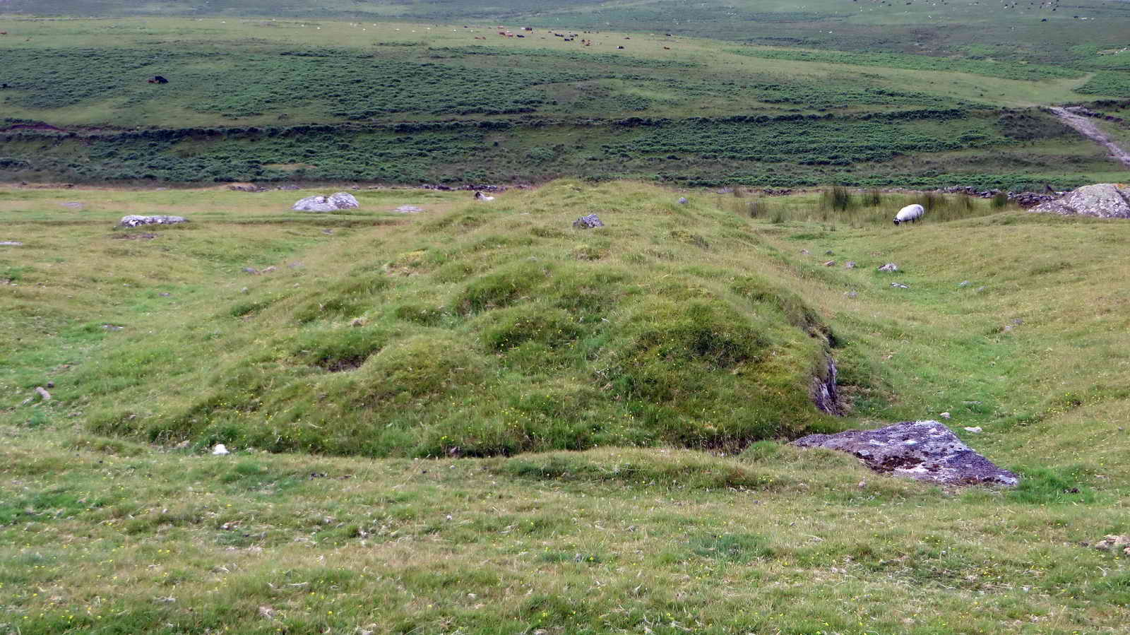 One of many Pillow Mounds seen below the track