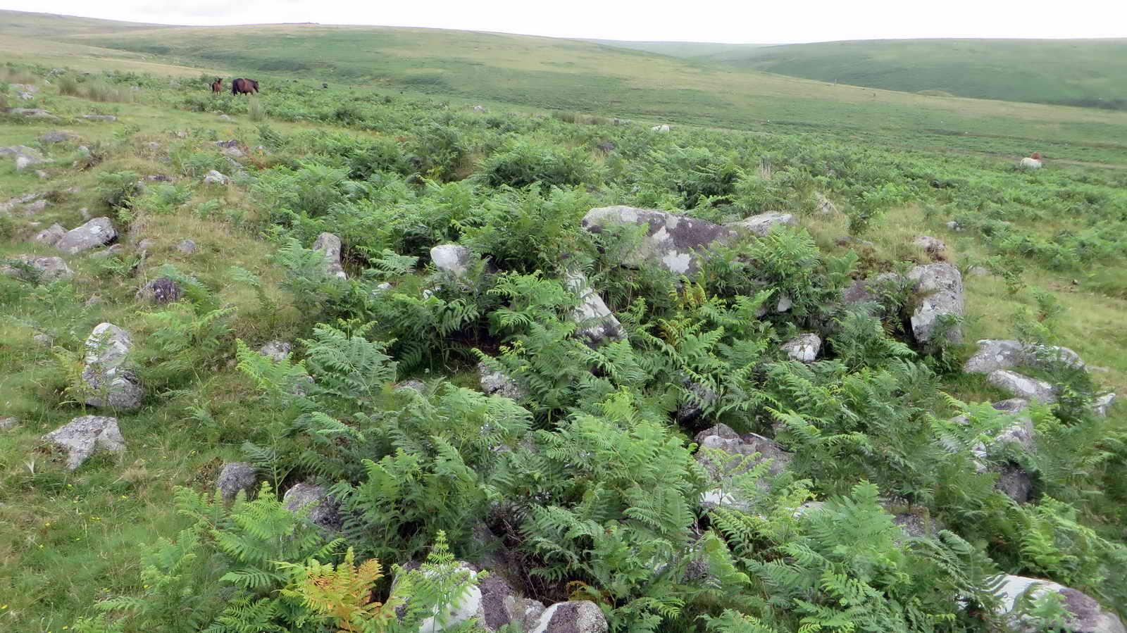 Outbuilding to a nearby longhouse