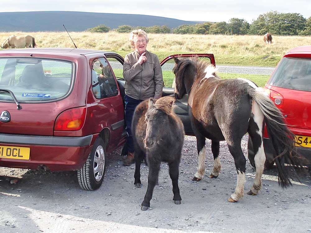 “If I’ve told you once, I’ve told you…”