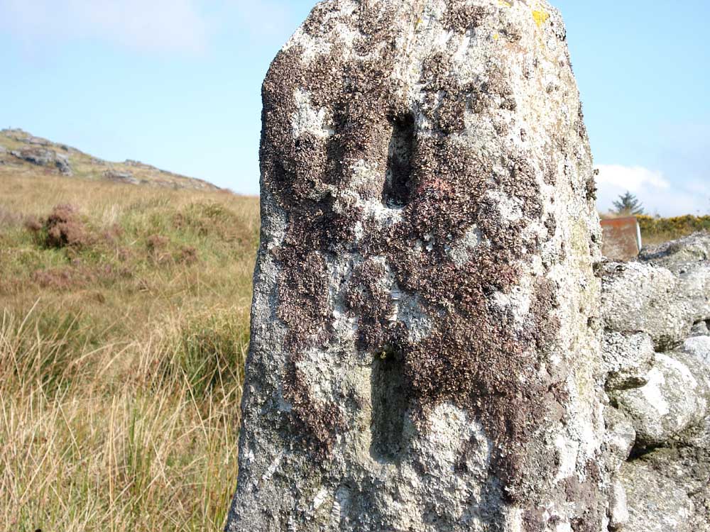 Close-up of a slotted gatepost