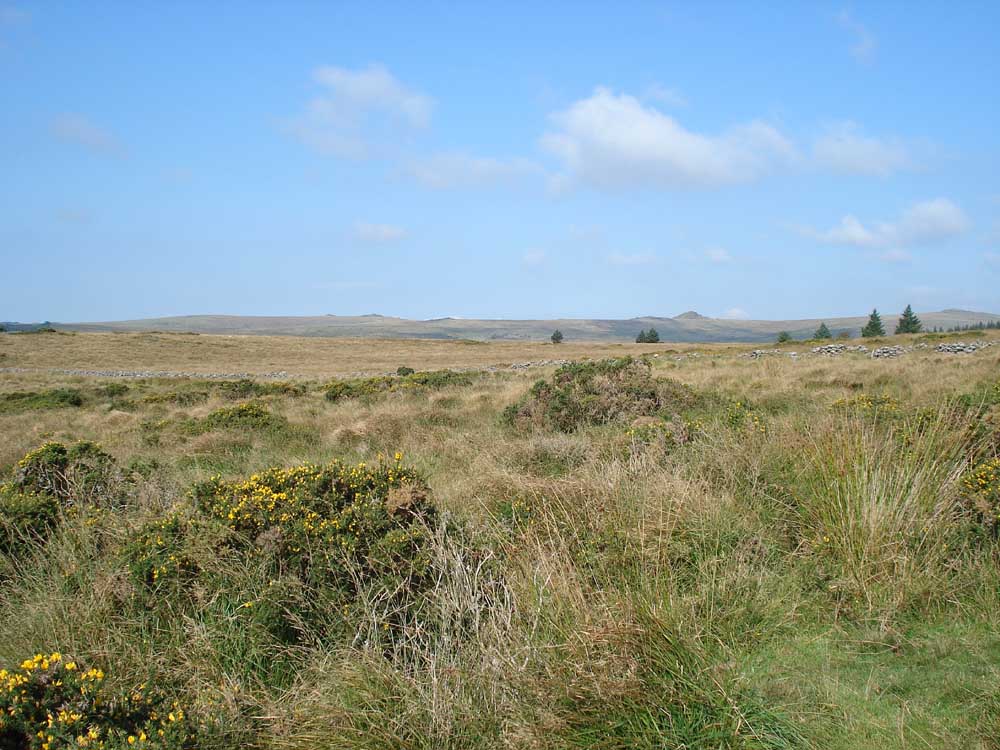 View towards Beardown Tors (centre) and Longaford Tor (right)