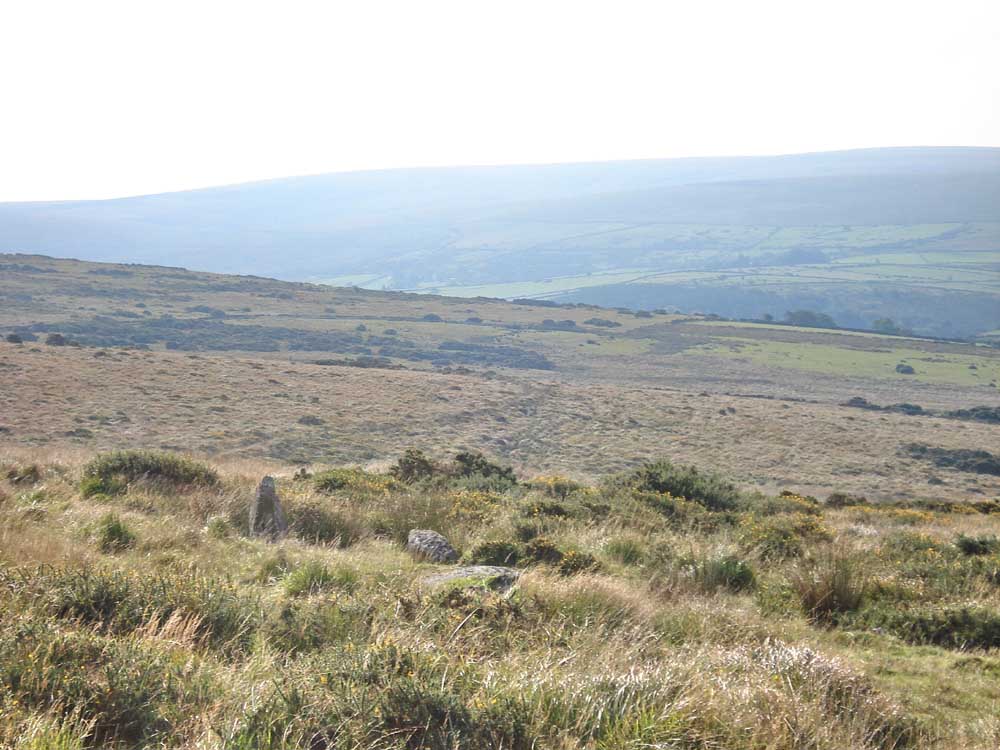 Looking Eastward to see the line of the Brimpts Mine leat, running from the Cherry Brook near Powdermills