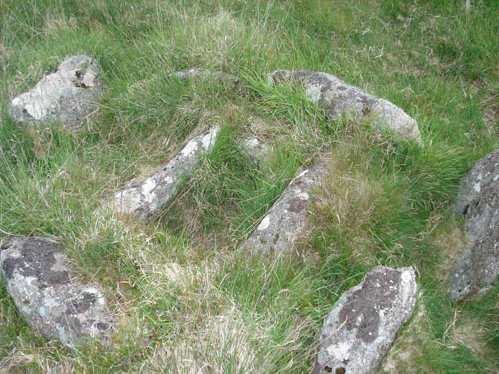 Above view of the cist with the retaining stone “circle” or cairn