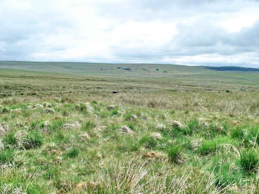 Looking back over the Mire to Whiteworks