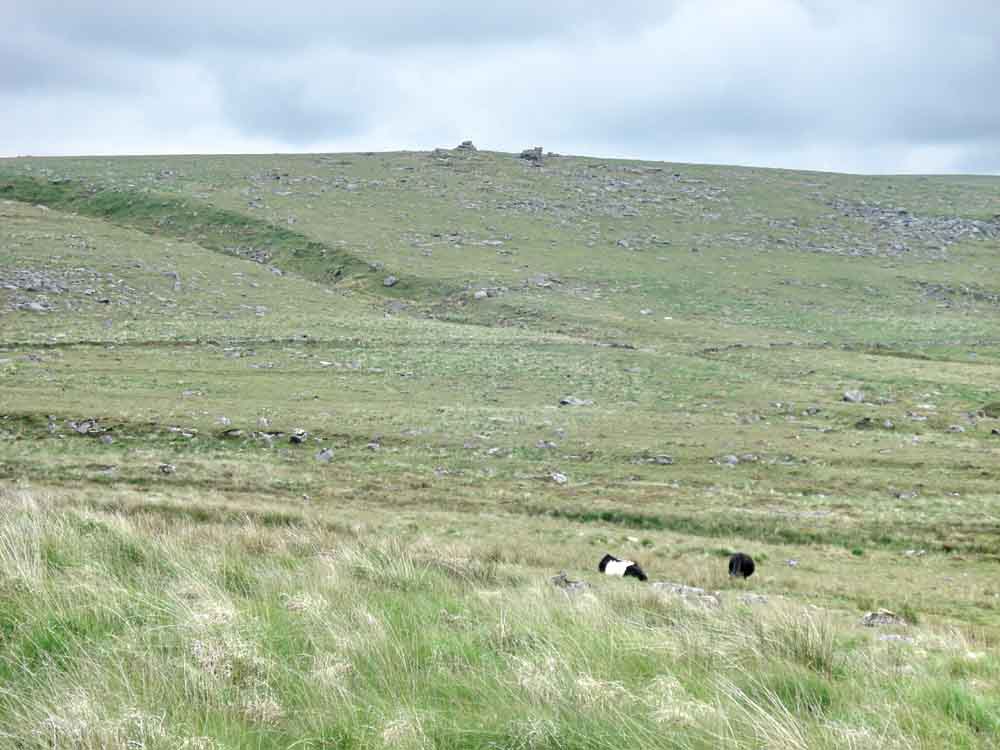 Looking back to Fox Tor from Foxtor Farm, with the Girt to the left