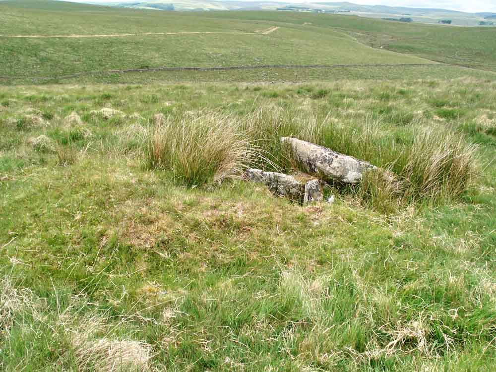 Cist 3, looking north-east. The yellow band seen across the valley proved to be a layer of dead grass caught against a wire fence