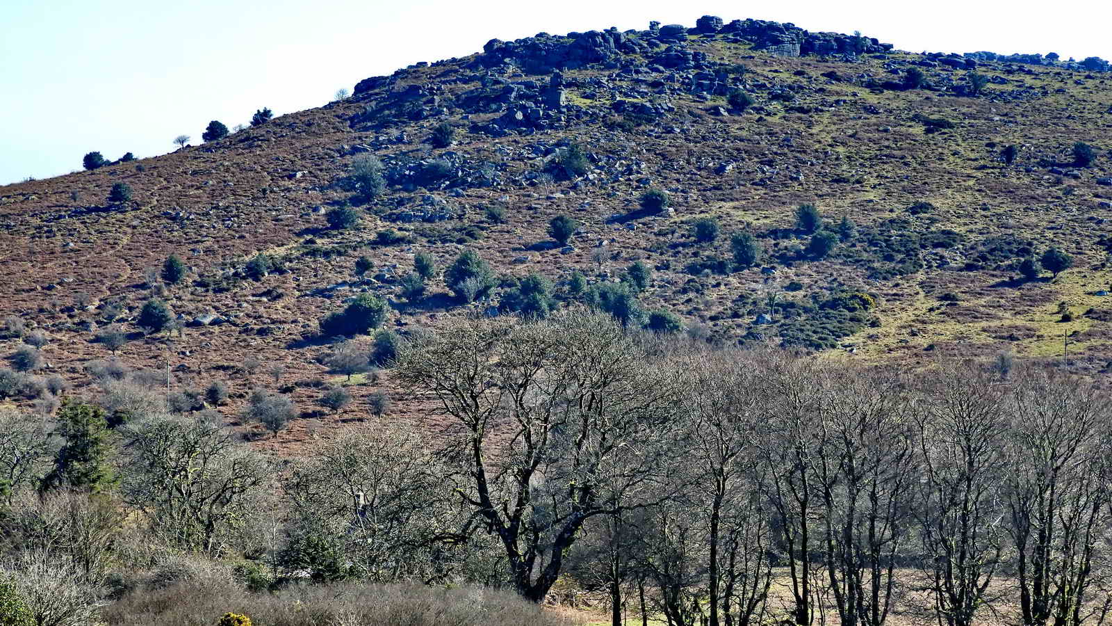 Another view of the rocks on Hayne Down; Bowerman’s Nose is in the centre of the photograph, just below the skyline