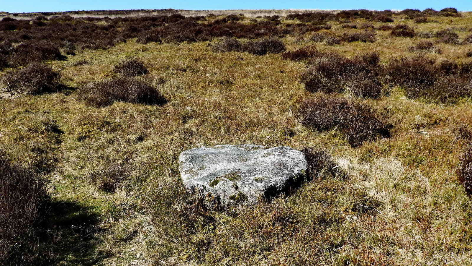 Showing the millstone and the ground of this area