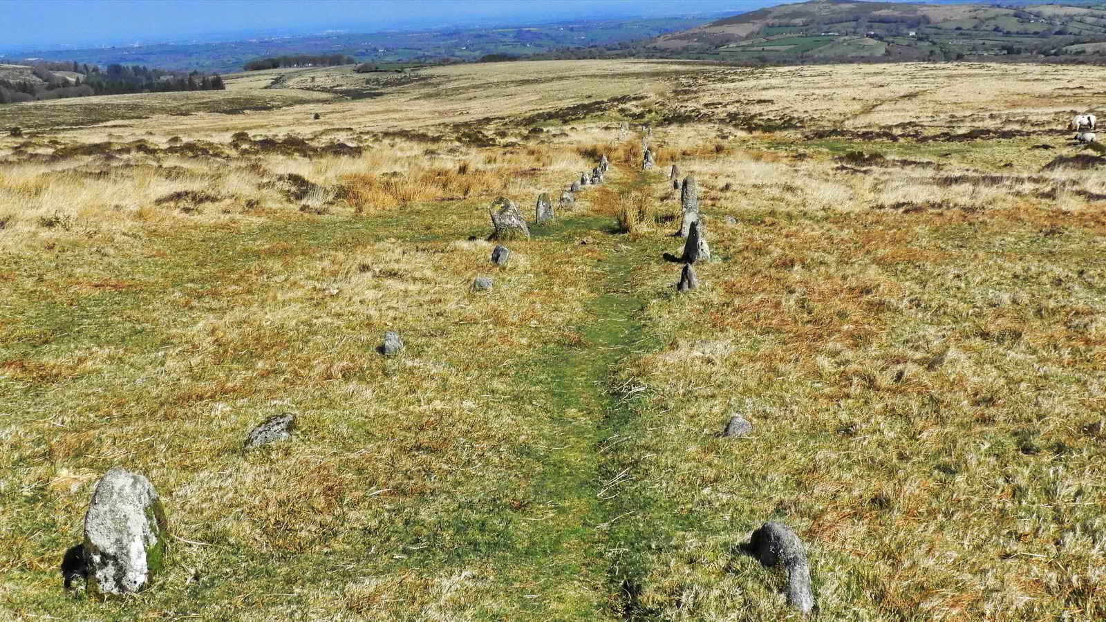 Hurston Ridge double stone row. SX 6729 8250