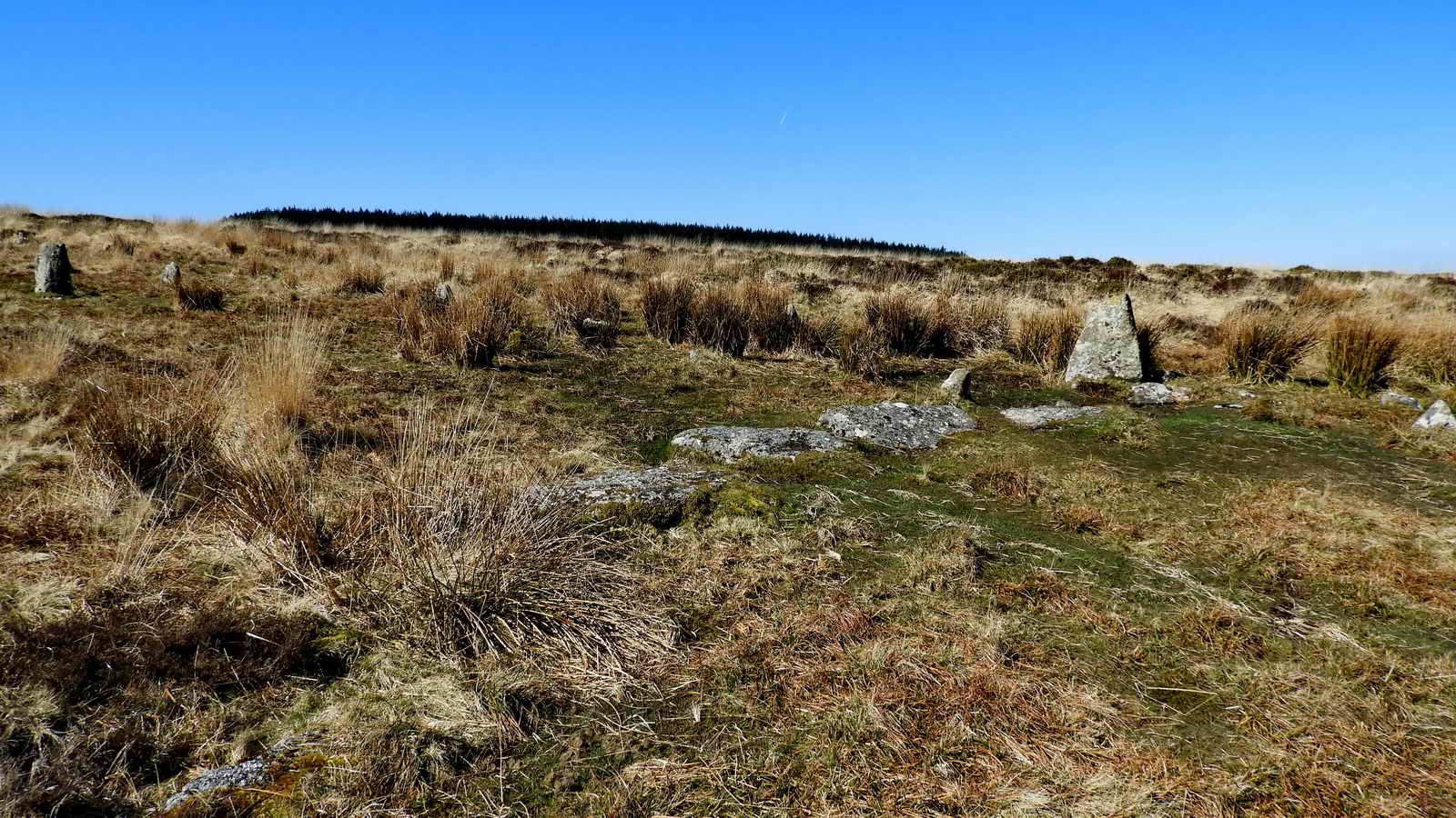 A later Bronze Age wall cuts through the rows at SX 67295 82514, about two-thirds of the distance down the rows, indicating that the significance of the monument was not held in the highest regard by that time