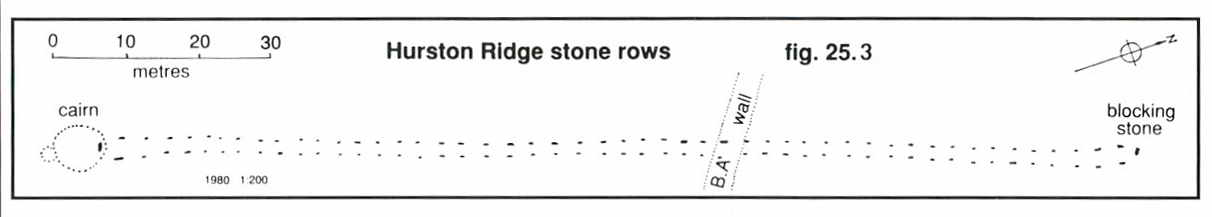 Image © J Butler 1991. Reproduced by kind permission (ref. 29 Sept. 2012)