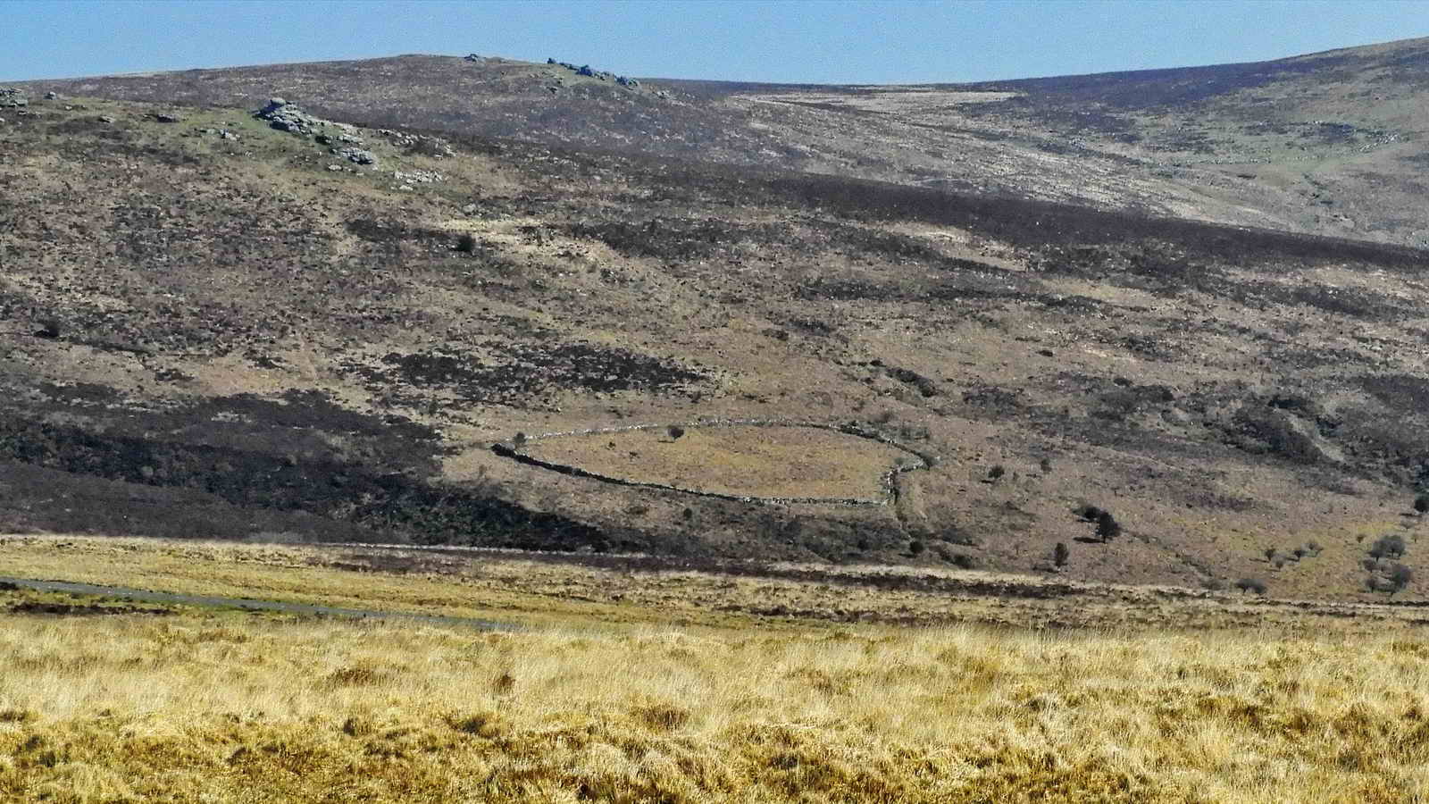 View to the Ace Fields