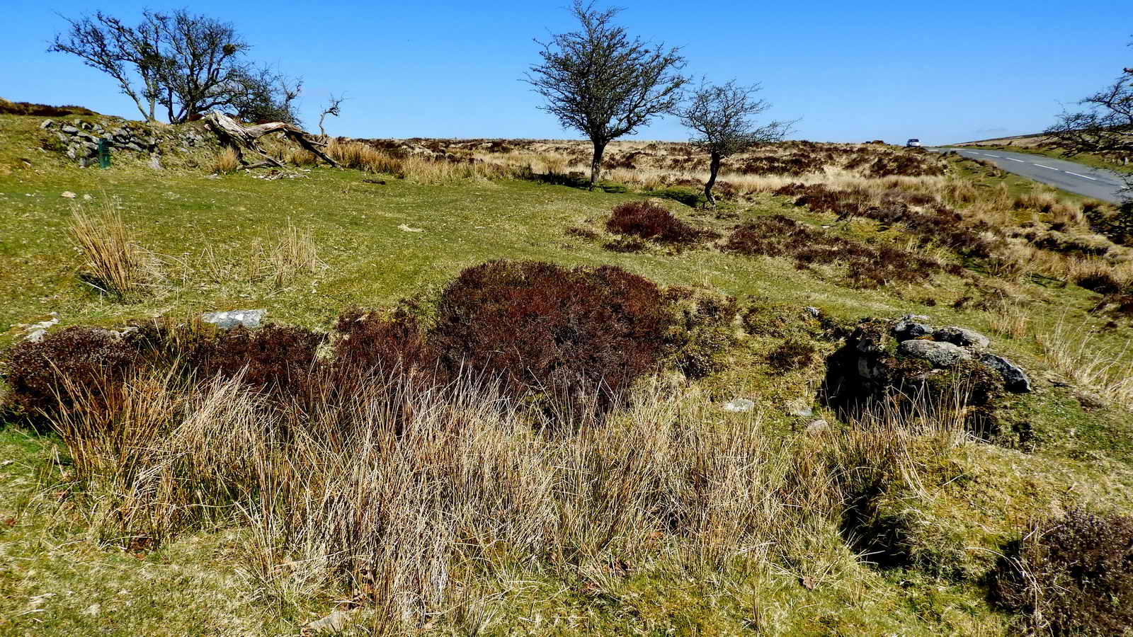 The site of Cap’n Moses Bawden’s Bungalow. SX 67532 81087