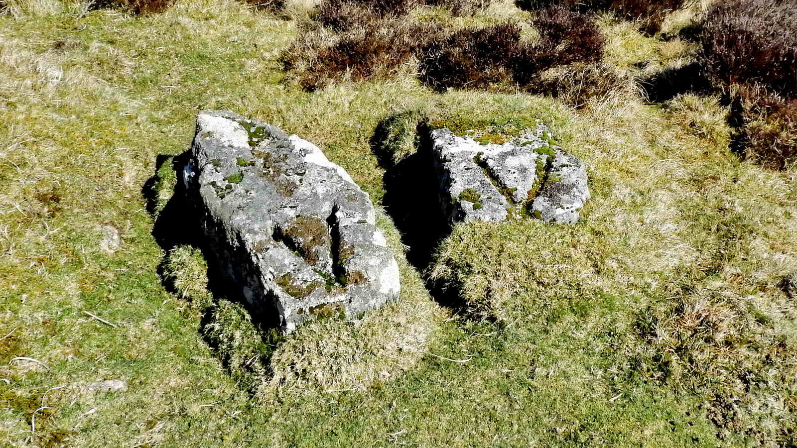 V-Stones at SX 67539 81374