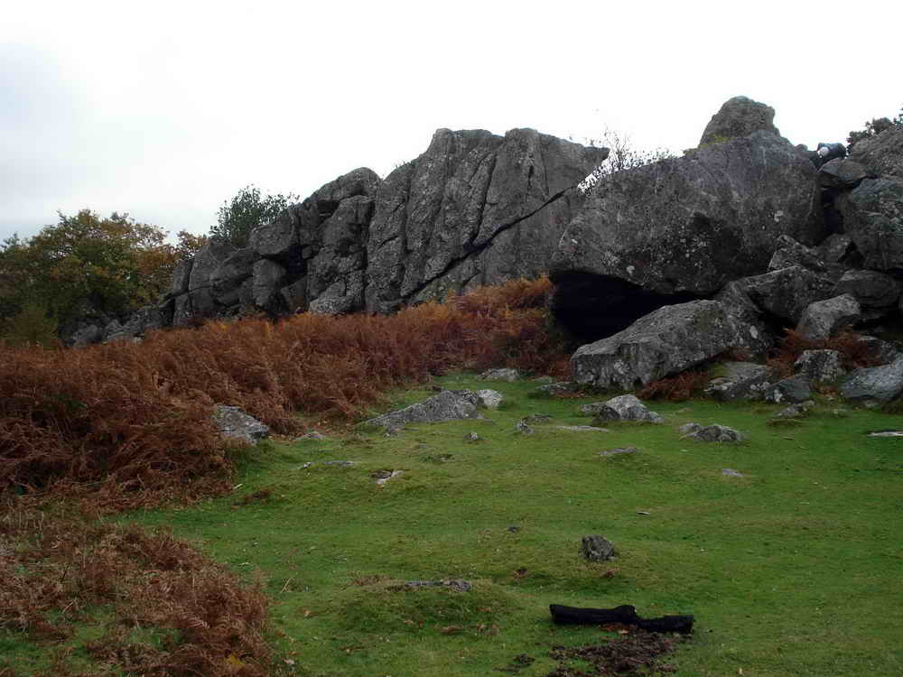 Leigh Tor, SX 711 714, elevation 180 metres (590 feet)