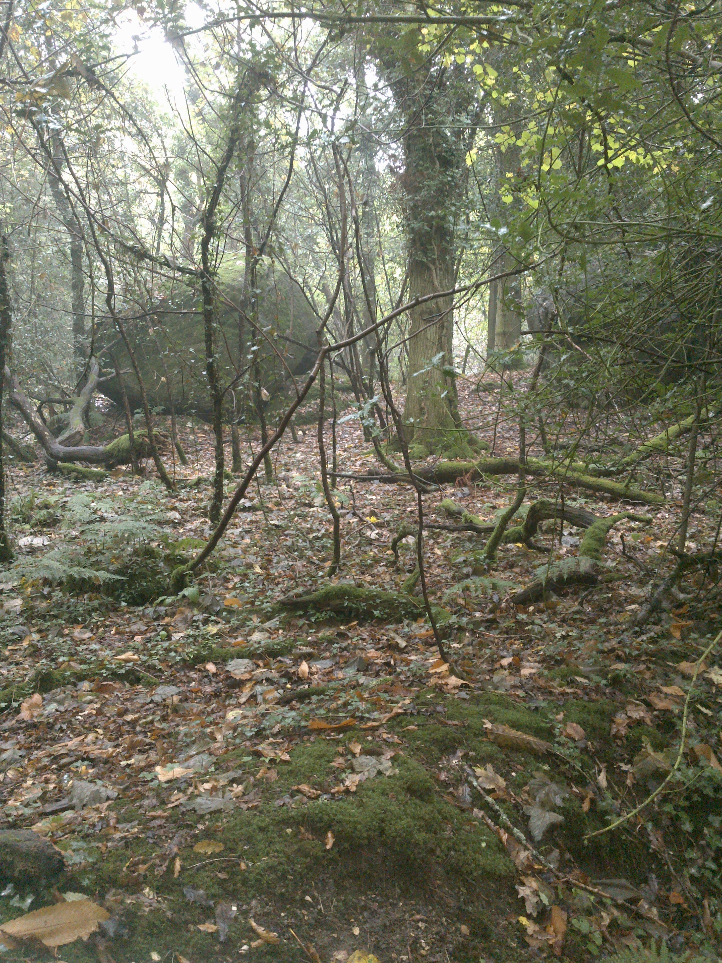 Rocks further down Little John’s Walk