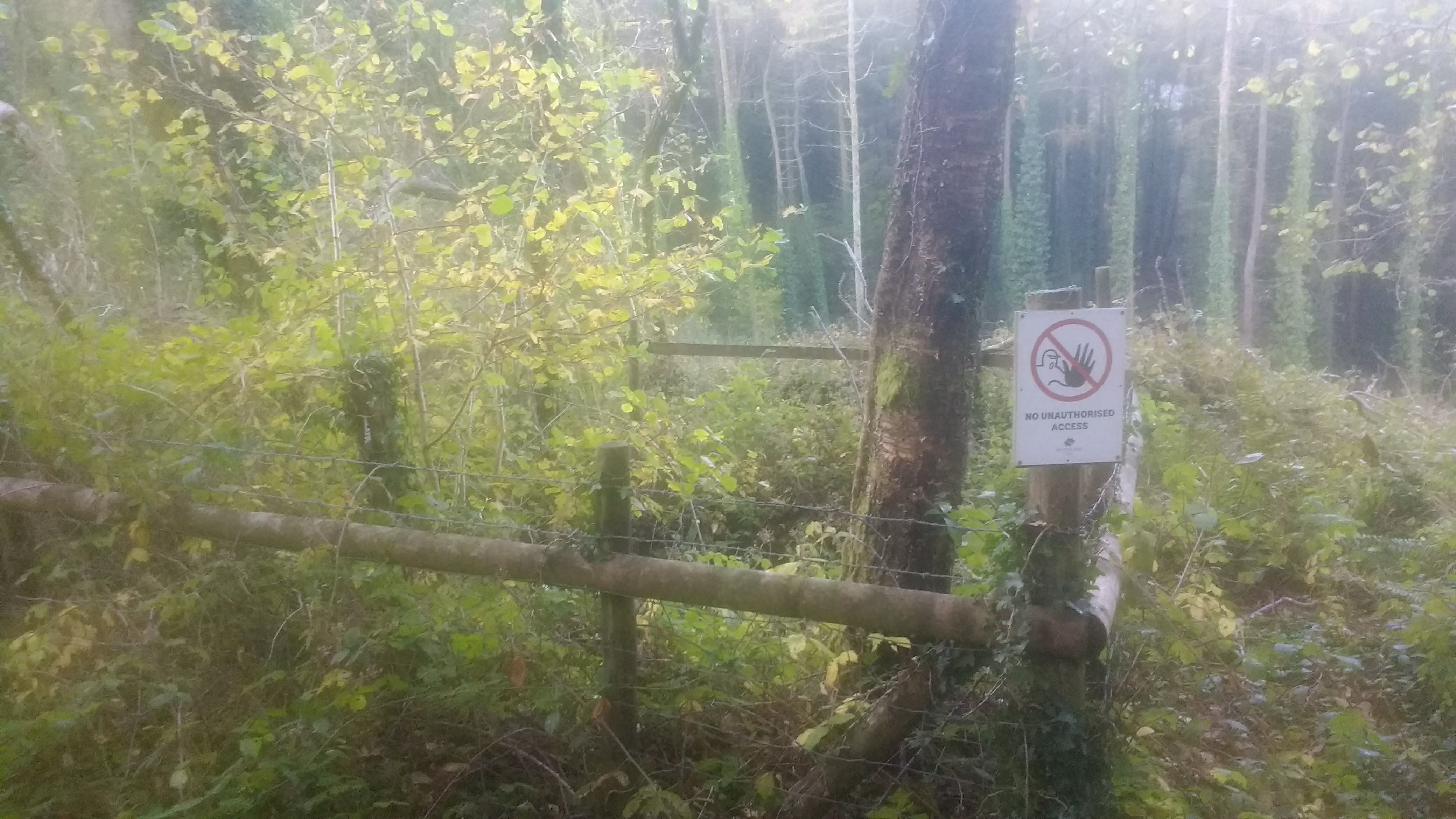 One of the shafts of Shaptor Mine