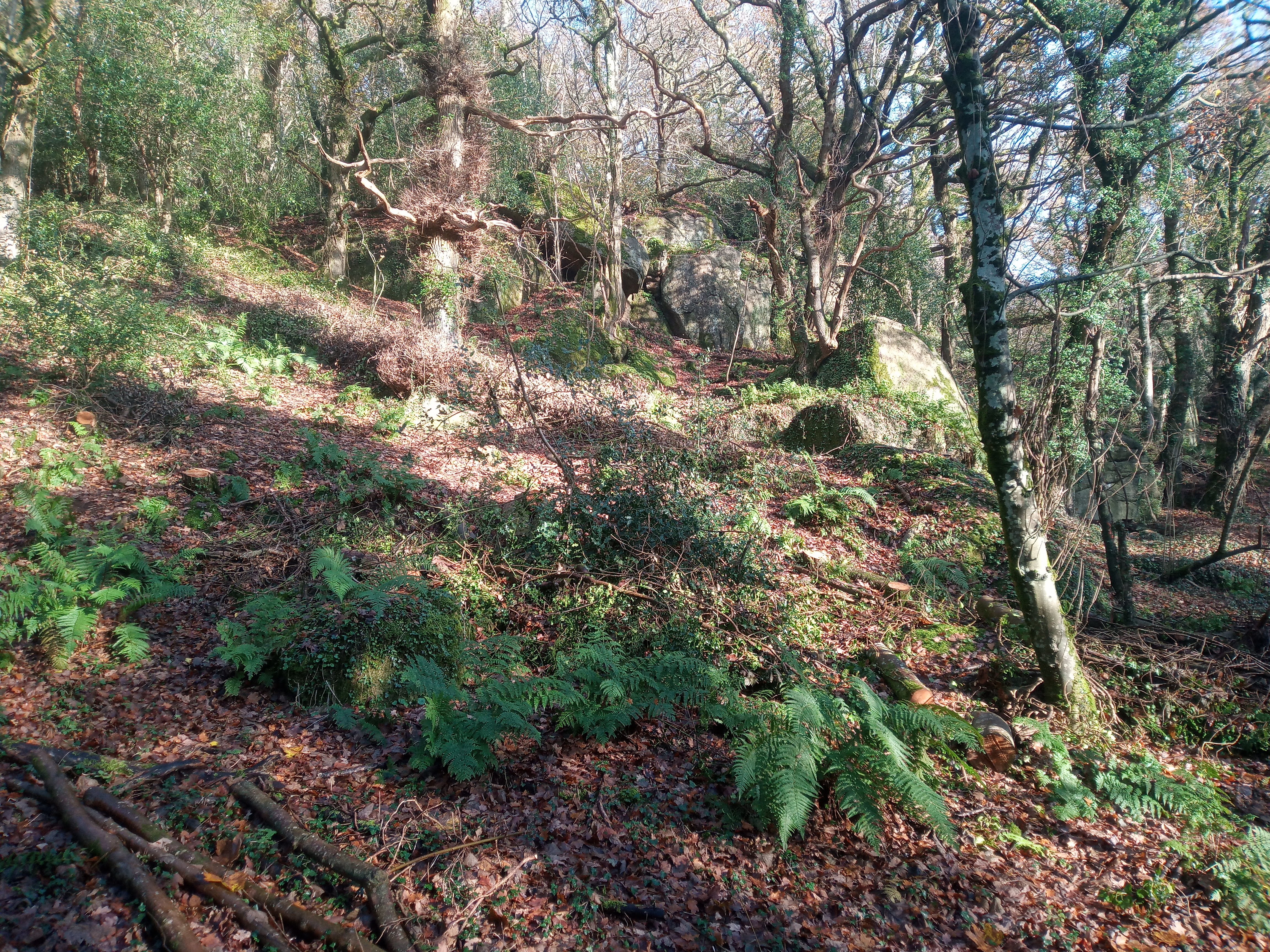 Steep and rocky is the theme here