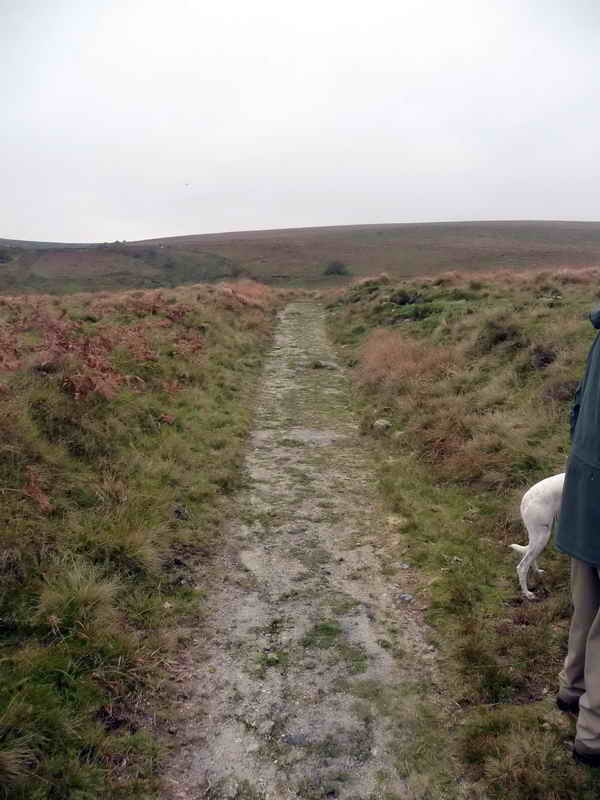 Some larger holes, perhaps of higher calibre?