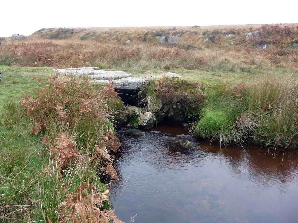 Bridge and ford together