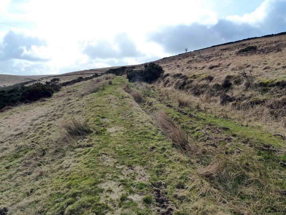 Follow the old track