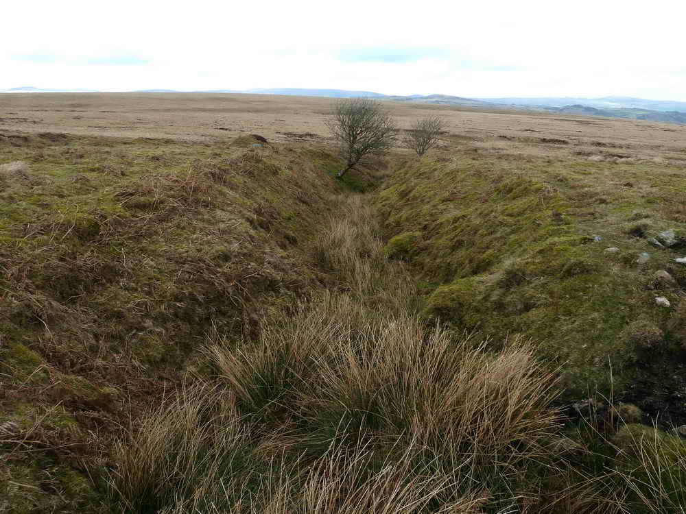 One of many old ‘Gerts’ in the area