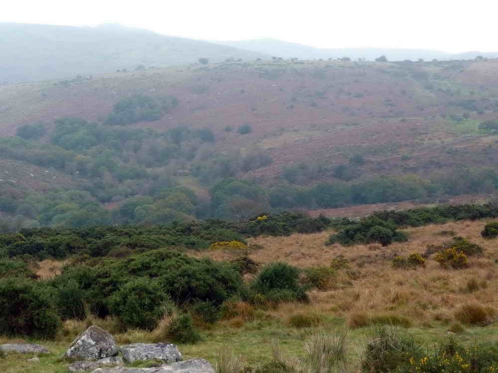 Also to the East, a view of the lower half of the O Brook valley, which contributes to the Dart. We’ll meet the brook shortly.
