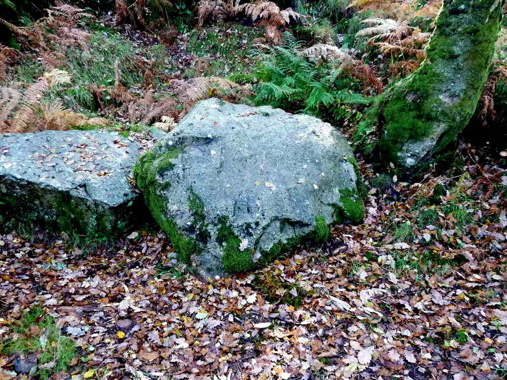 “Millstone” - Two granite slabs beside the path (SX 68876 72099), where we follow the small path that climbs up on the left