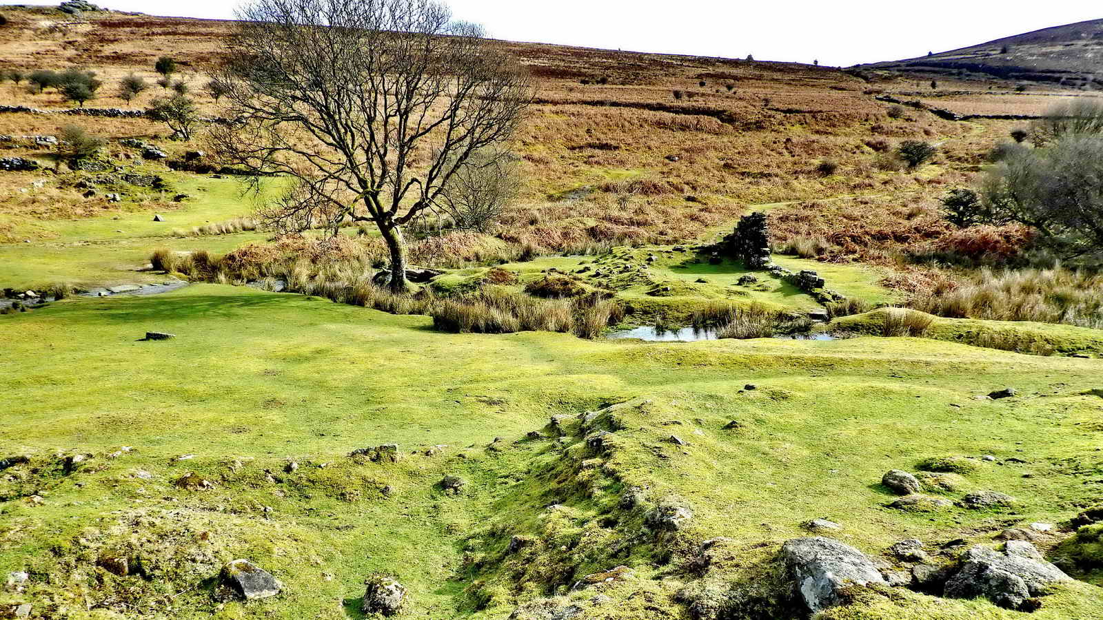 Rex’s Bridge (SX 68186 80977) on the left, with the Blacksmith’s shop ruins central