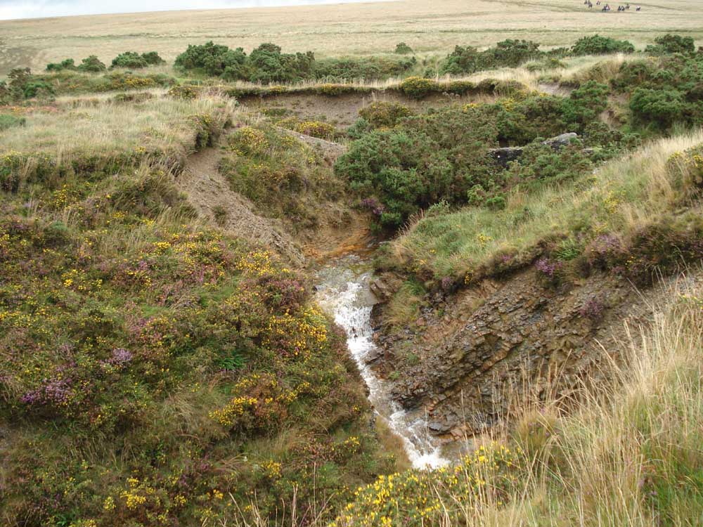 Looking in the opposite direction