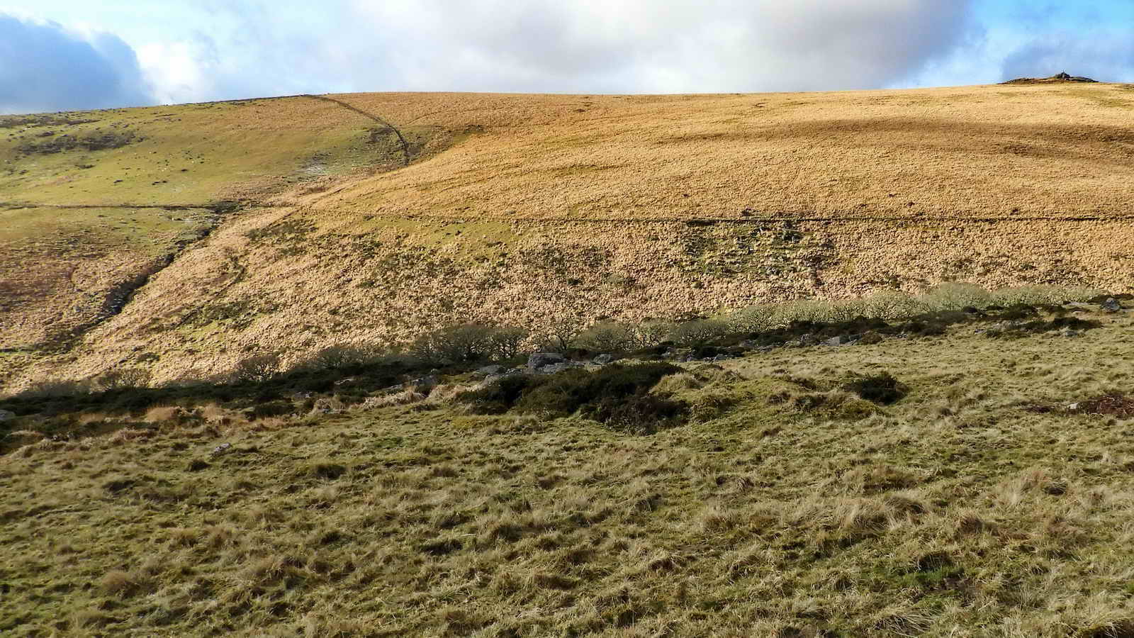 Across the valley at the line of Devonport Leat
