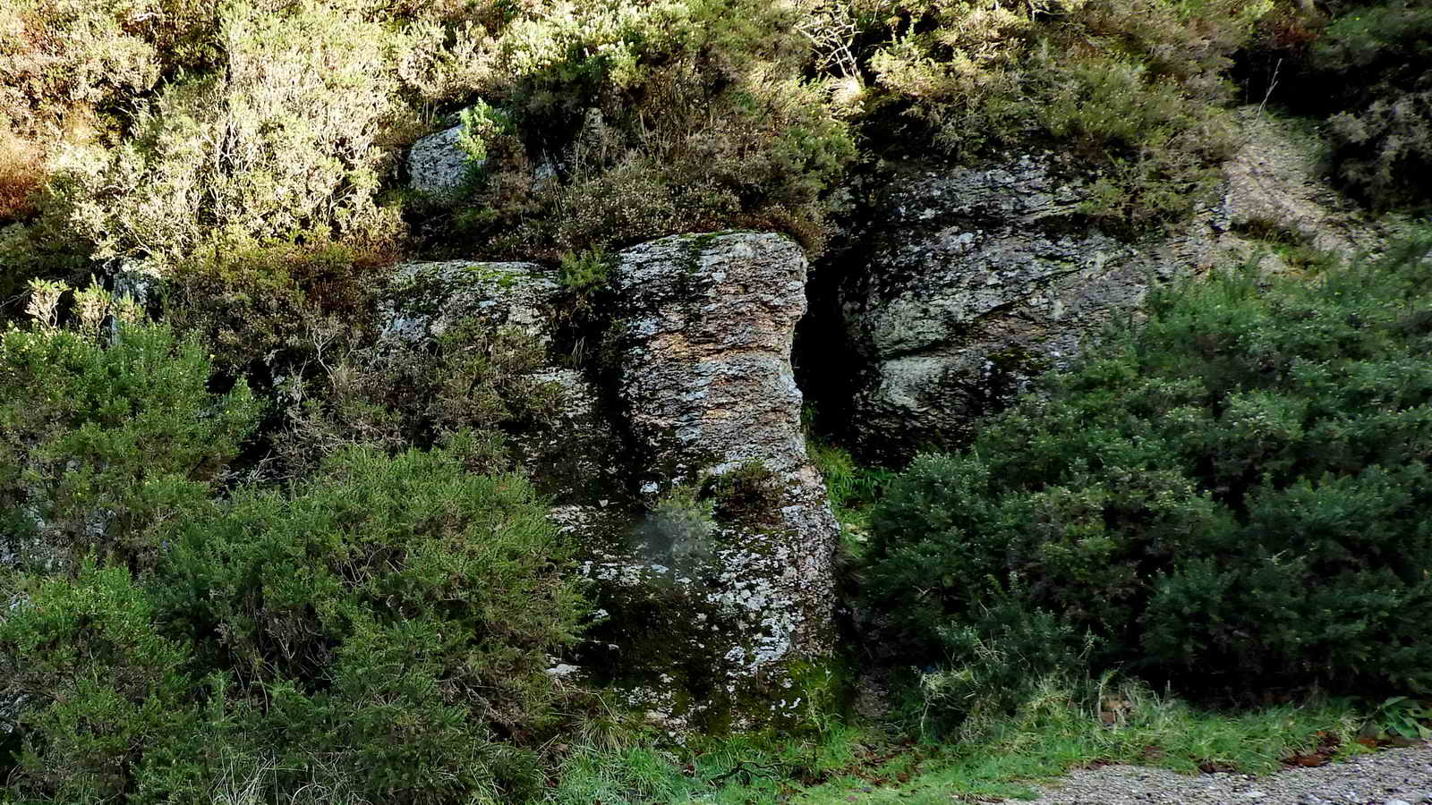 A closer view of the tor