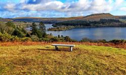 Featured image of post Yennadon Down